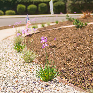 Turf Removal Rebate program in North hills