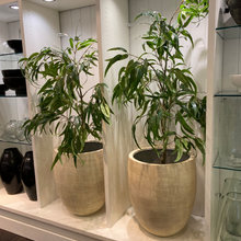 Pottery Barn