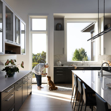 ASHEVILLE AGE-IN-PLACE