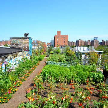 UMBRELLA HOUSE ROOFTOP GARDEN