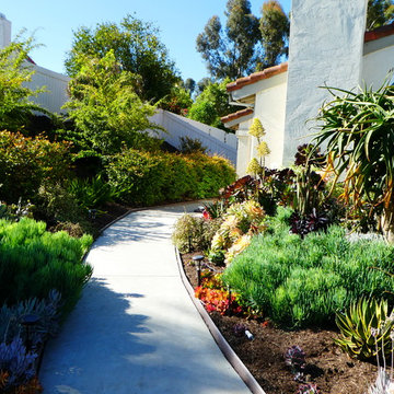 Front Yard Landscape