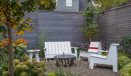 Yes, You Can Create a Wildlife Haven in a Small Yard