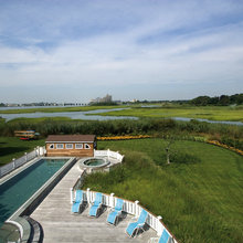 Wetland Forest