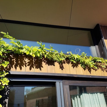 Union St Armadale