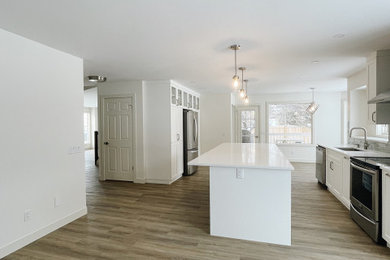 Full Home Remodel