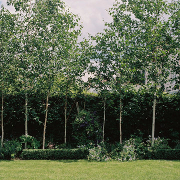 Family garden with willow screened trampoline