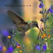 Tammy Salat's photo
