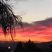 Photo de Brenda Pappas