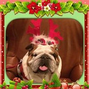 Cindy Schwenk's photo