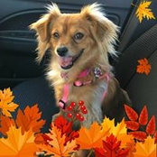 Shelly Maupin's photo