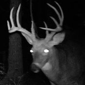 Jeff Southard's photo