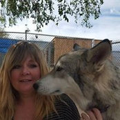 Missy Harris's photo