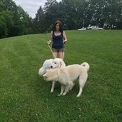 Alison Messer's photo