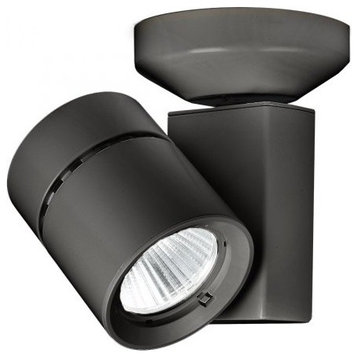 WAC Lighting Exterminator II LED Monopoint, Black