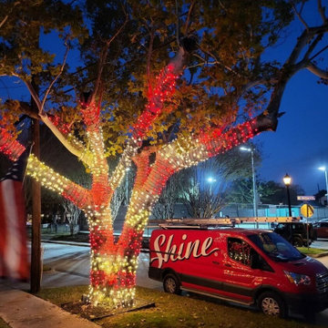Holiday Lighting