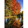 "Colours of Autumn" Photo Print, Aluminium, 40x30 cm