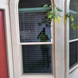 Vinyl Single Hung Windows - Windows