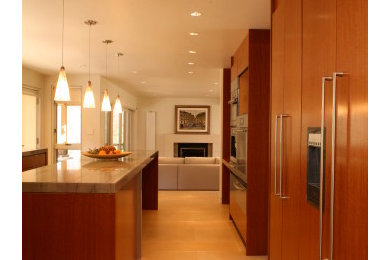 Kitchen - modern kitchen idea in Boston