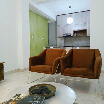 Apartment interior transformation