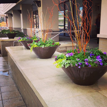 Spring Container Garden Design