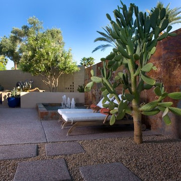 Desert Landscaping