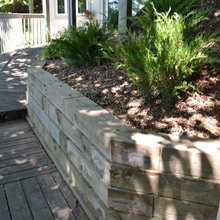 Backyard Design