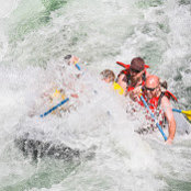 Andrew Webb's photo