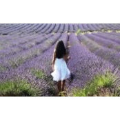 Sinem Toktay's photo