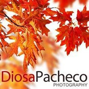 Diosa Pacheco's photo