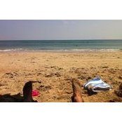 Matt Treece's photo