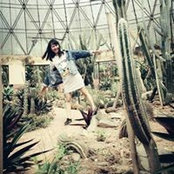 Kim Anh's photo