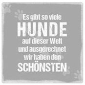 Daniel Benz's photo