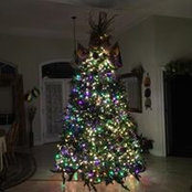 Jan Gormley's photo