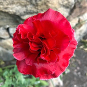 Adam Luck's photo
