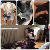 Nora Agha's photo
