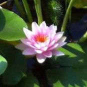 Traci Kuntz's photo
