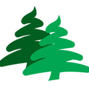pinetreeconstructionslcs foto