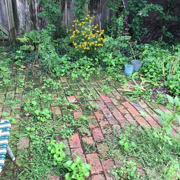 In search of the Natural Garden