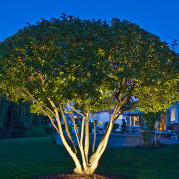 Oak Brook Landscape Lighting