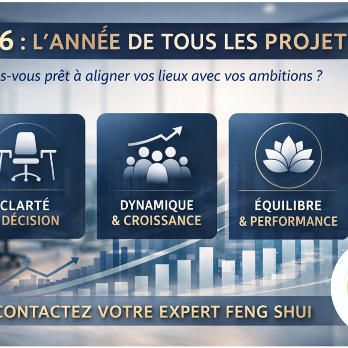 FENG SHUI EN ENTREPRISE