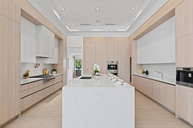 Kitchen - contemporary kitchen idea in Miami