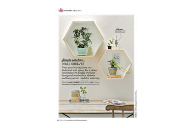 House plant display idea_Ideal Home magazine