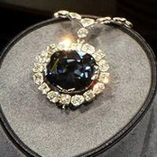 Donna Davis's photo