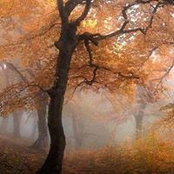 Carmen McKelvey's photo