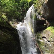Kelly Crook's photo