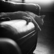Foto von Macee Chapman