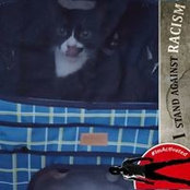 Carol Feldman's photo