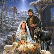 Pam Sheltman's photo