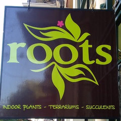 Roots