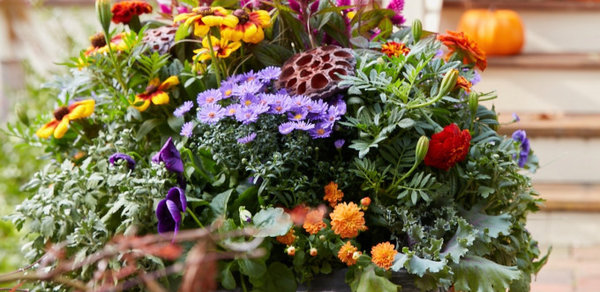 Flowers and Plants